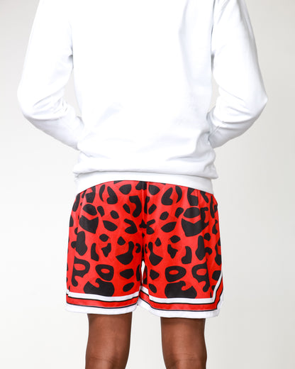 MB Cheetah shorts | 3 colors